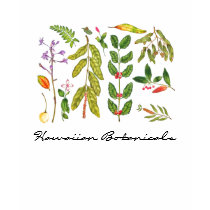 Hawaiian Botanicals t-shirts by joeyartist Hawaiian Botanicals t-shirts