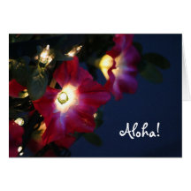 Hawaiian Christmas Flower card