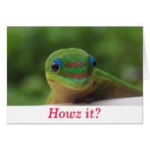 Hawaiian Christmas Howz it Cards