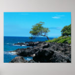 Hawaiian Coastline Posters