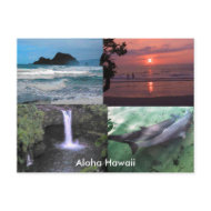 Hawaiian Collection postcard