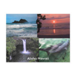 Hawaiian Collection Hawaiian Collection