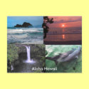 Hawaiian Collection postcards