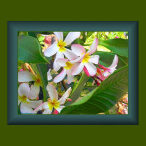 Hawaiian Delight - Blue posters