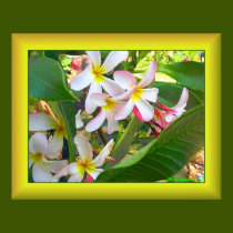 Hawaiian Delight - Yellow posters