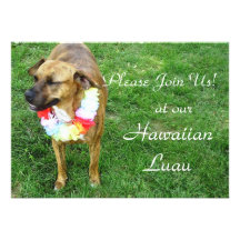 Hawaiian dog luau custom invitation