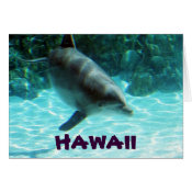 Hawaiian Dolphin collection card