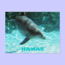 Hawaiian Dolphin collection postcards