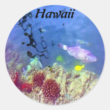 Hawaiian Fish Sticker