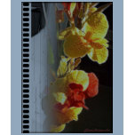 Hawaiian Flame Flower T-Shirt (Film Strip Effect)