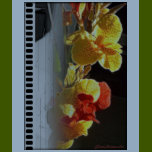 Hawaiian Flame Flower T-Shirt (Film Strip Effect)