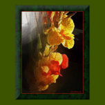 Hawaiian Flame Flowers Print