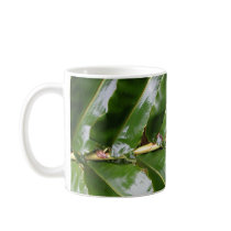 Hawaiian Flora mugs