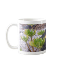 Hawaiian Flora mugs