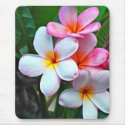 Hawaiian Flower Mousepad mousepad