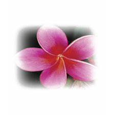 Hawaiian Flower Shirt shirt