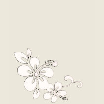 Hawaiian Flower t-shirts