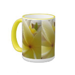 Hawaiian Frangipani Coffee Mugs
