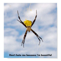 Hawaiian Garden Spider Poster posters