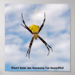 Hawaiian Garden Spider Poster posters