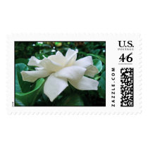 Hawaiian Gardenia postage by joeyartist Hawaiian Gardenia postage