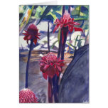 Hawaiian Ginger Greeting Cards