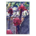 Hawaiian Ginger cards