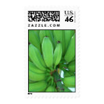 Hawaiian Green Bananas Postage