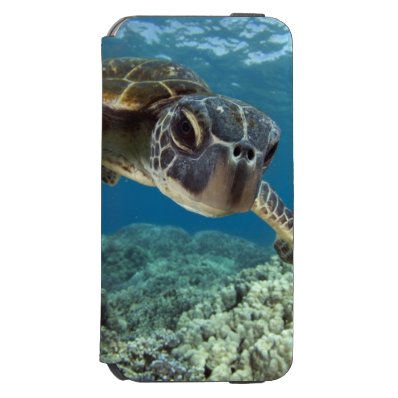 Hawaiian Green Sea Turtle iPhone 6/6S Wallet Case