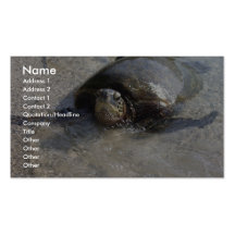 Hawaiian Green Sea Turtle Swimming On Beach Of Hal Business Card Template