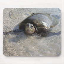 Hawaiian Green Sea Turtle Swimming On Beach Of Hal Mousepads