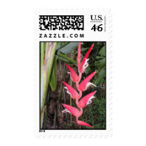 Hawaiian Hanging Heliconia postage