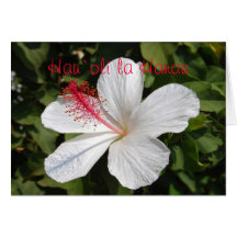 Hawaiian Happy Birthday White Hibiscus Card