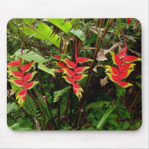 Hawaiian Heliconia Mouse Pads