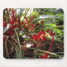 Hawaiian Heliconia Mousepad