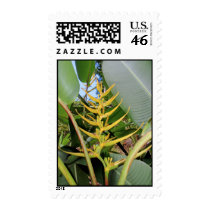 Hawaiian Heliconia postage