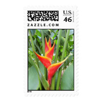 Hawaiian Heliconia postage