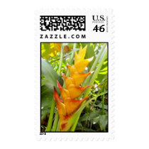 Hawaiian Heliconia postage