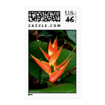 Hawaiian Heliconia Postage Stamps