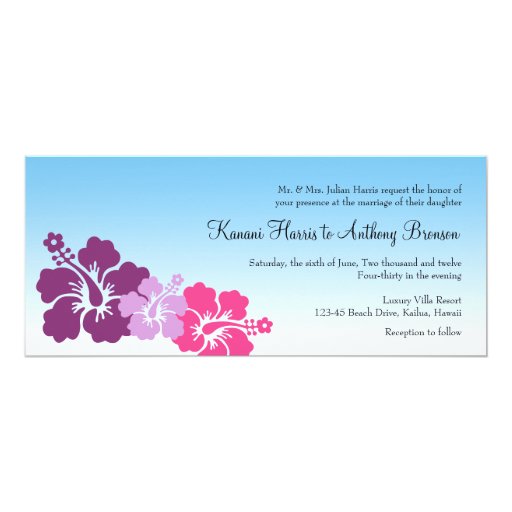 Purple Hibiscus Flower Meaning