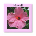 Hawaiian Hibiscus Magnet