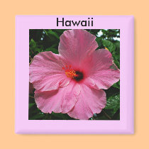 Hawaiian Hibiscus Magnet