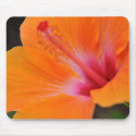 Hawaiian Hibiscus Mousepad