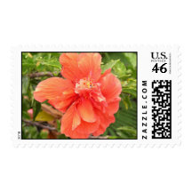 Hawaiian Hibiscus Postage Stamp