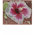 Hawaiian Hibiscus Tee t-shirts by suziesplace Hawaiian Hibiscus Tee t-shirts