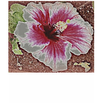 Hawaiian Hibiscus Tee t-shirts