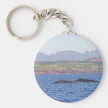 Hawaiian Humpback Whales Key Chain