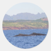 Hawaiian Humpback Whales Sticker