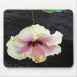 HAWAIIAN HYBICUS Mousepad mousepads