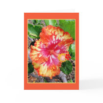 Hawaiian Hybrid Hibiscus cards by joeyartist Hawaiian Hybrid Hibiscus cards